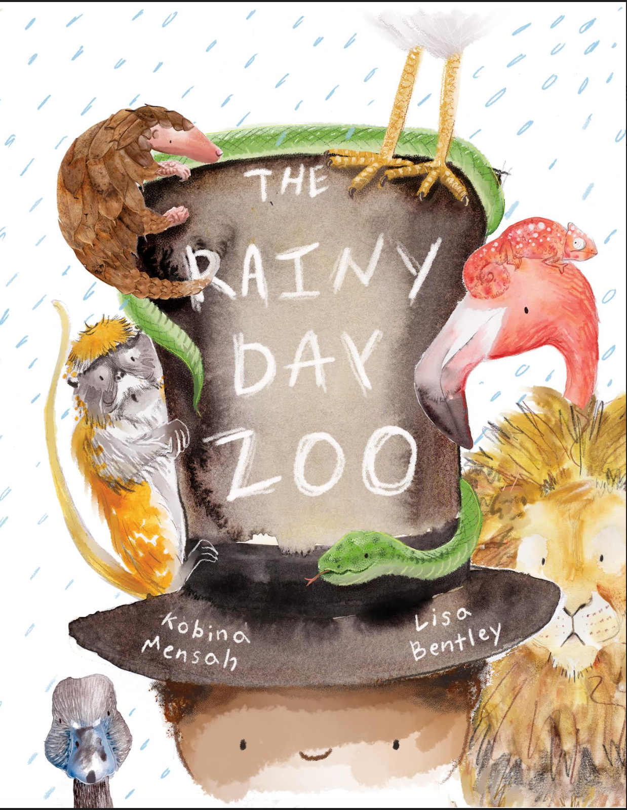 The Rainy Day Zoo